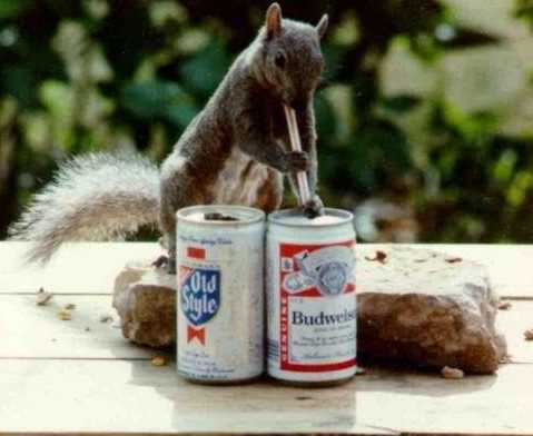 squirrelbeer.jpg